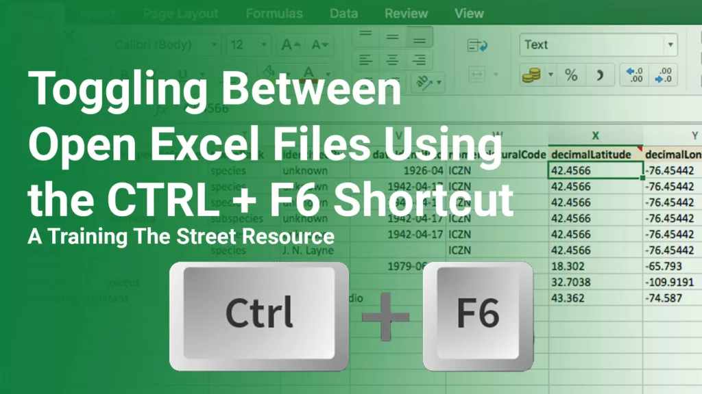 Toggling Between Open Excel Files Using the CTRL + F6 Shortcut