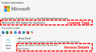 Checking Your Excel Version for PC