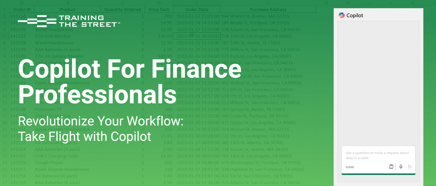 Copilot for finance Professional