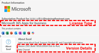 Checking Your Excel Version for PC